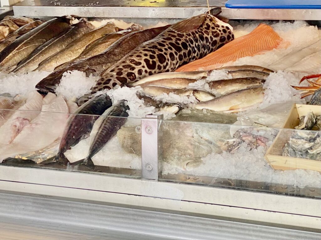 Fischfielt im Eis