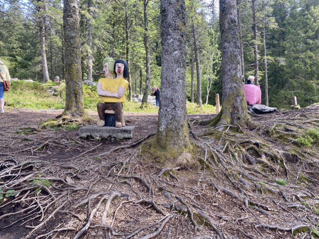 Trollwald auf den Floyen in Bergen