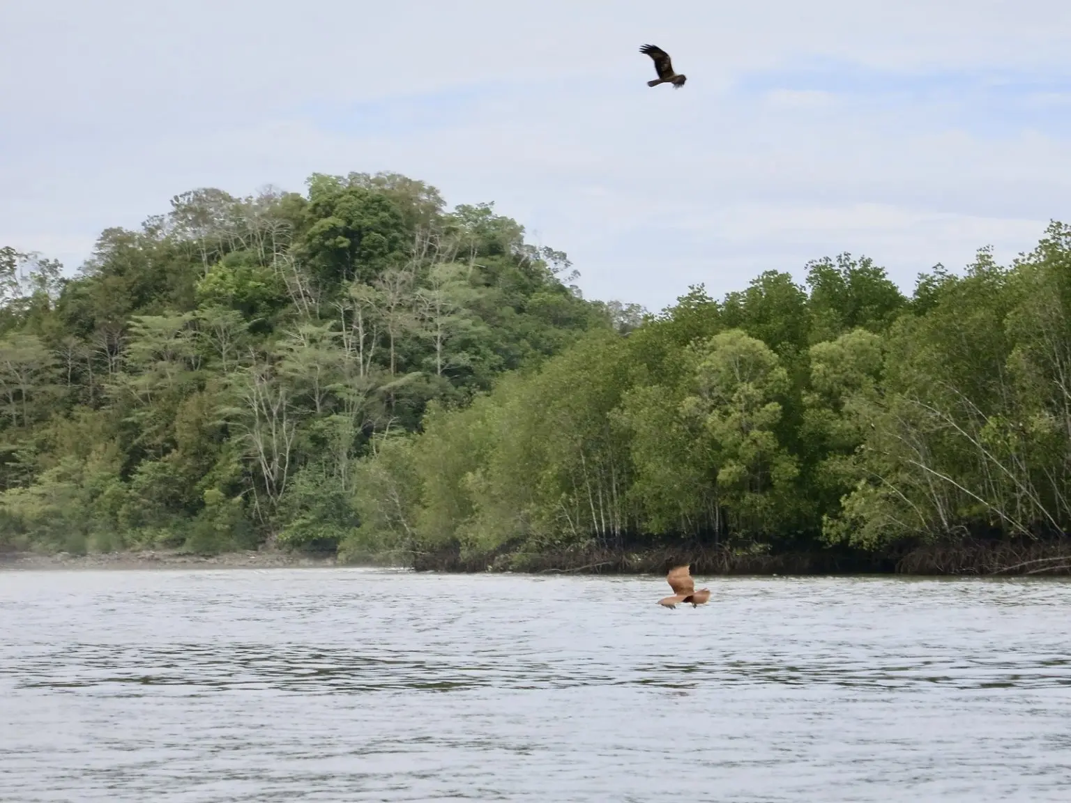 Kilim Geoforest Park Langkawi
