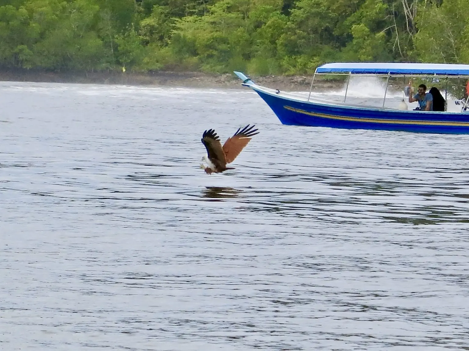 Kilim Geoforest Park Langkawi