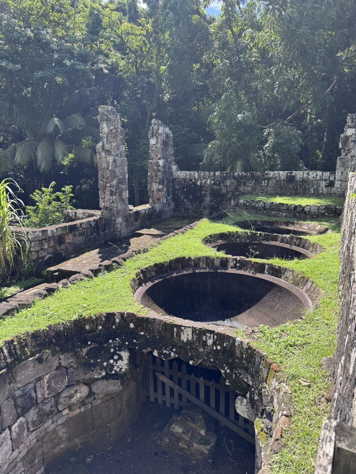 Historische Zuckerrohr-Mühlenruinen St. Kitts mit steinernen Becken