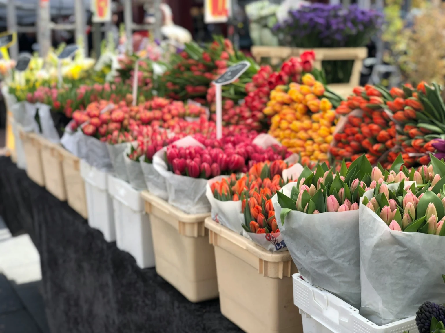 Schwimmender Blumenmarkt (Bloemenmarkt) in Amsterdam