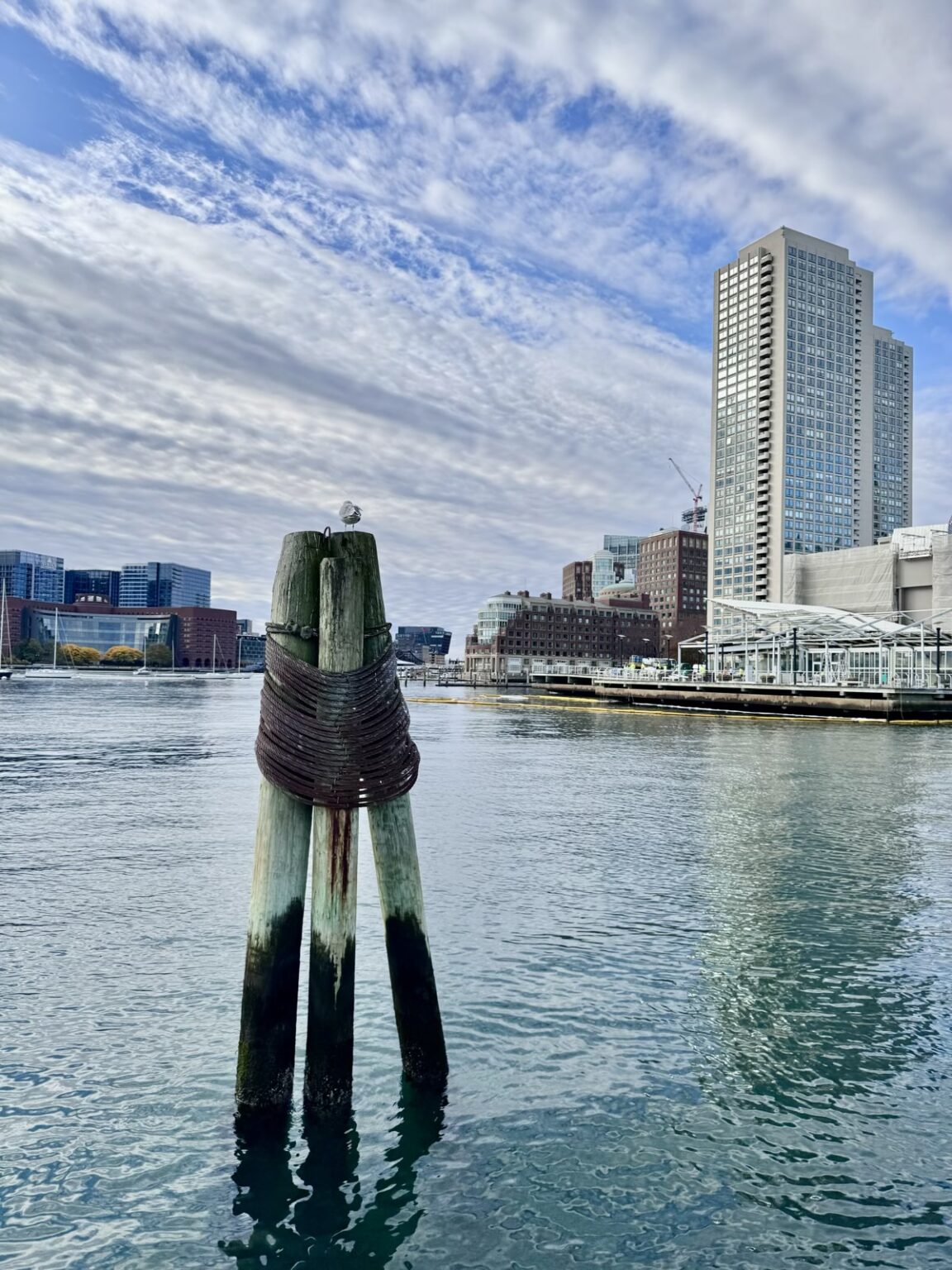 Boston Long Wharf View