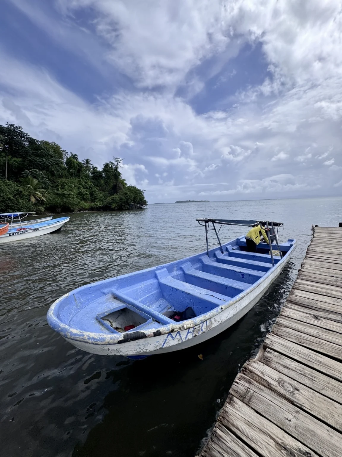 Ausflugsboote in Samana