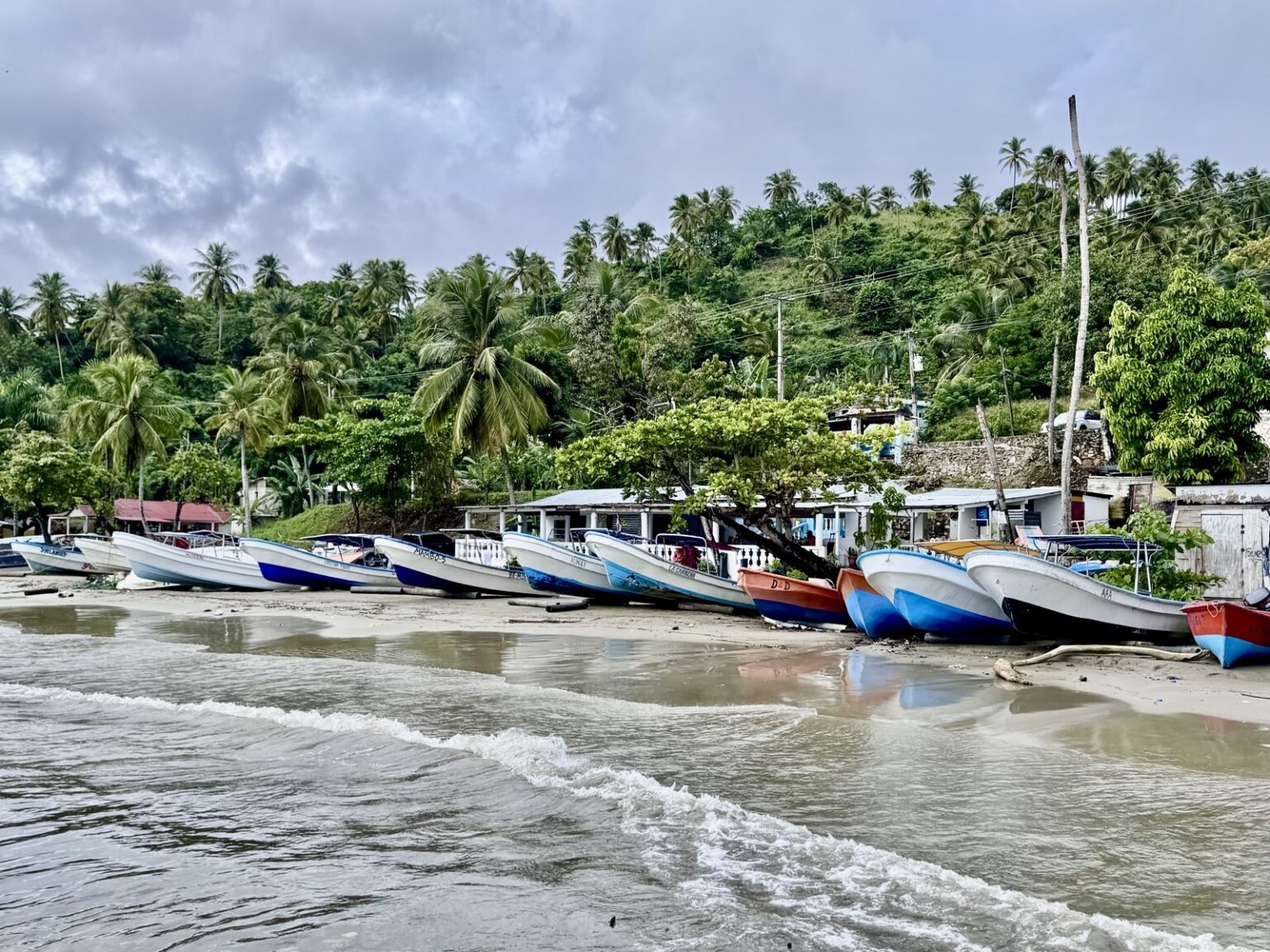 Ausflugsboote auf Samana