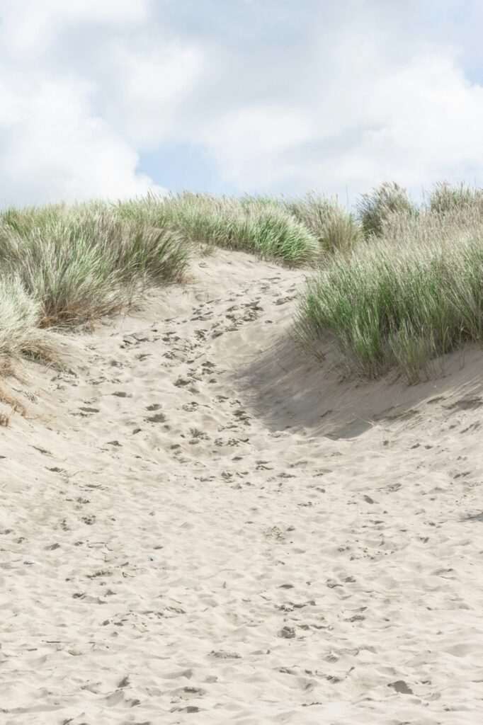 Stranddünen Knokke-Heist