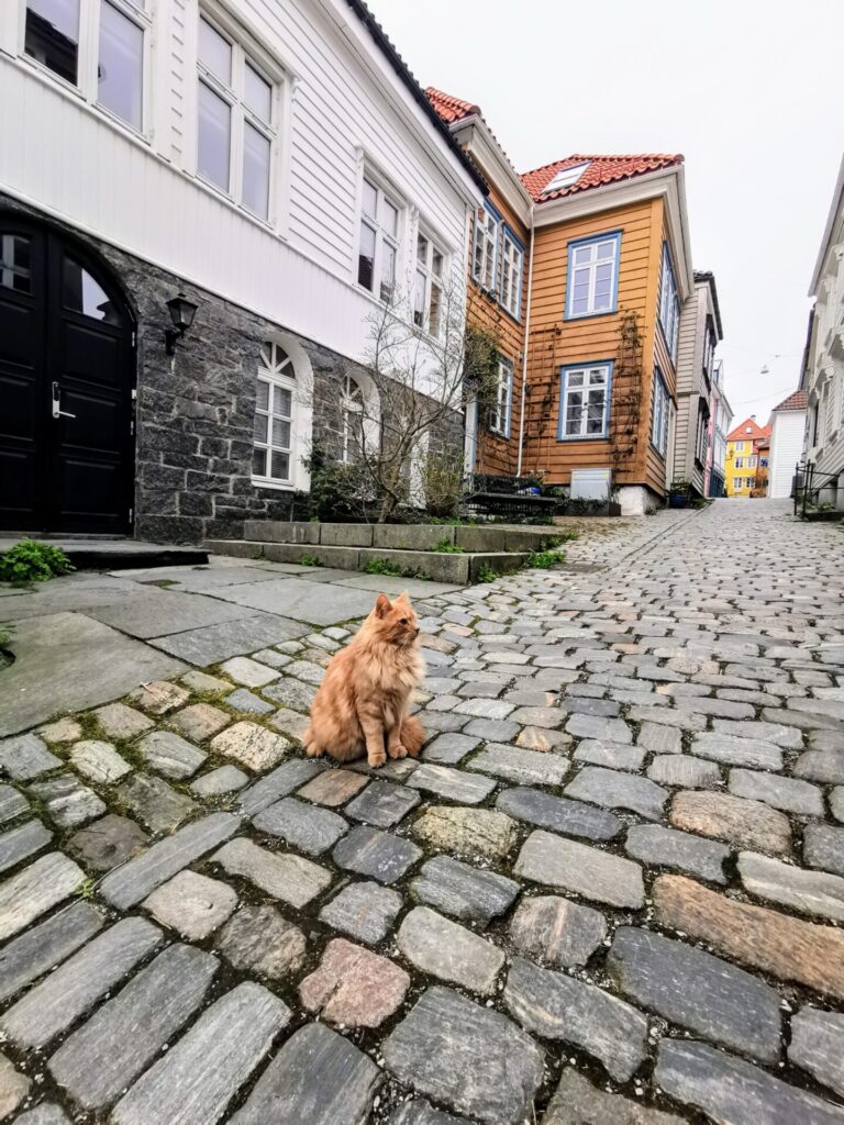 Bunte Holzhäuser in Bergen Nostet