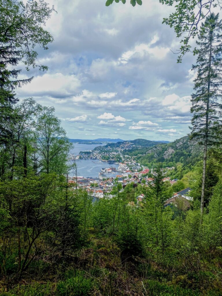 Ausblick vom Floyen in Bergen