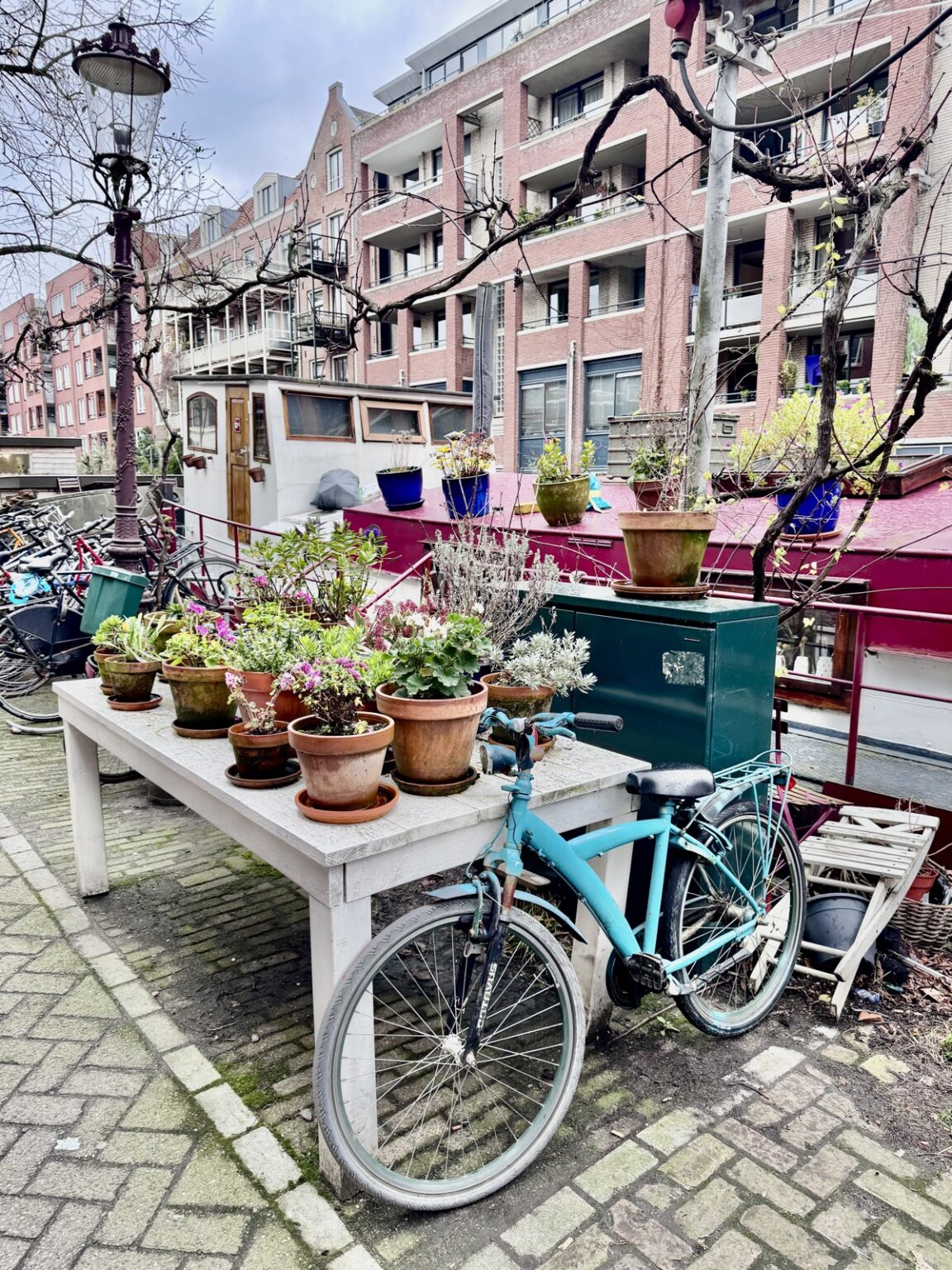Blumen auf Tisch in Amsterdam