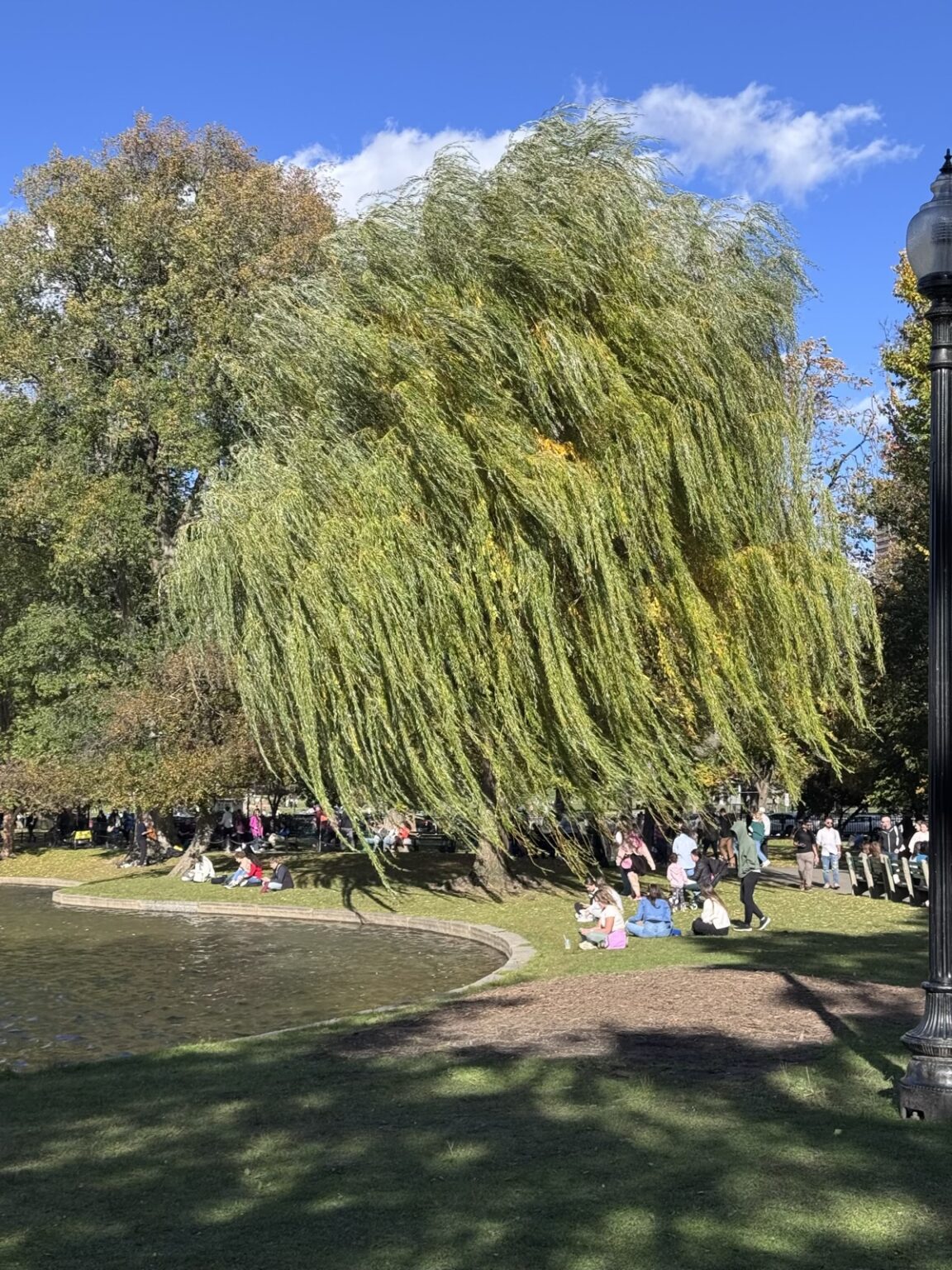 Boston Common Park