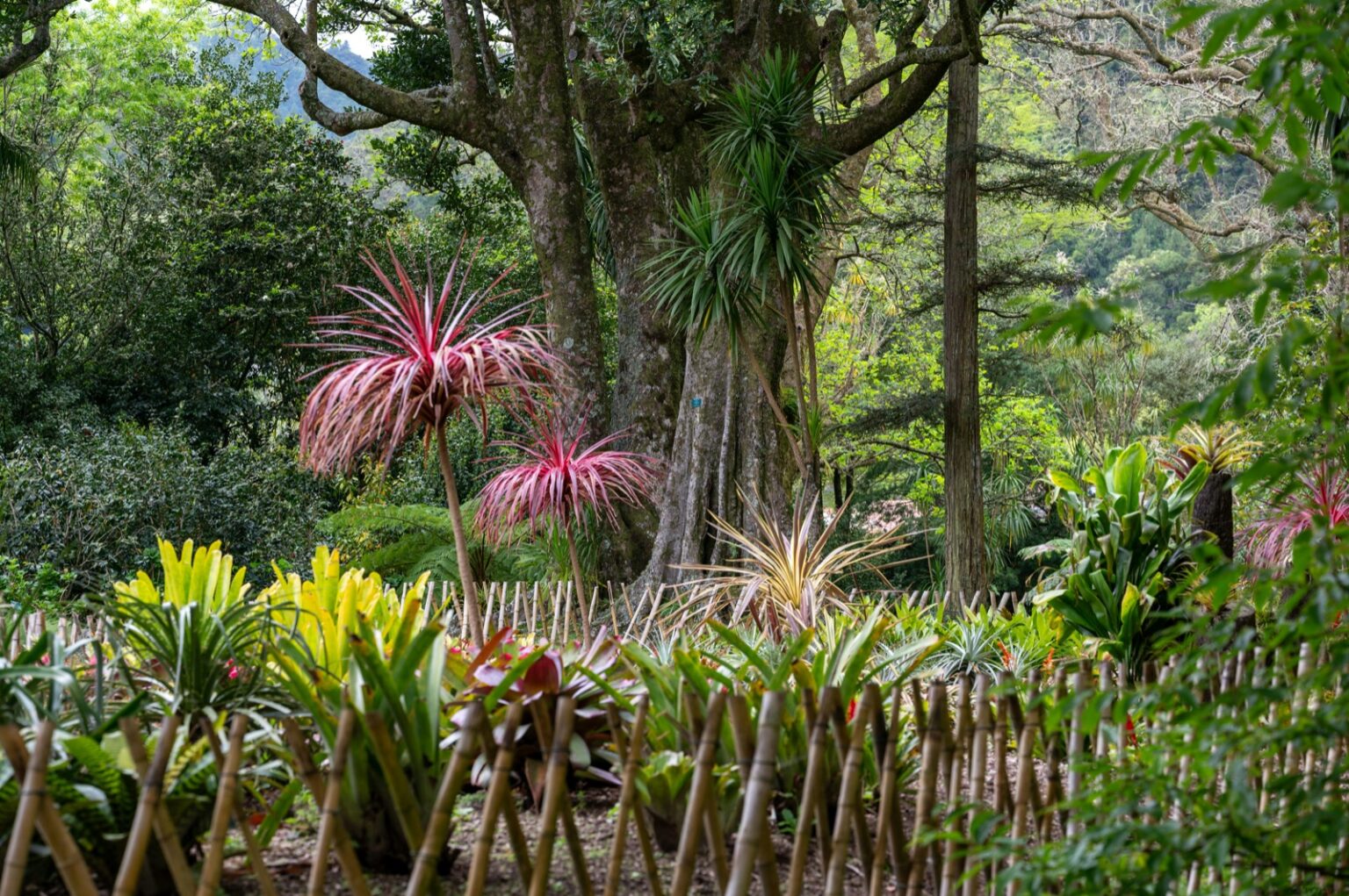 Botanischer Garten Cagliari