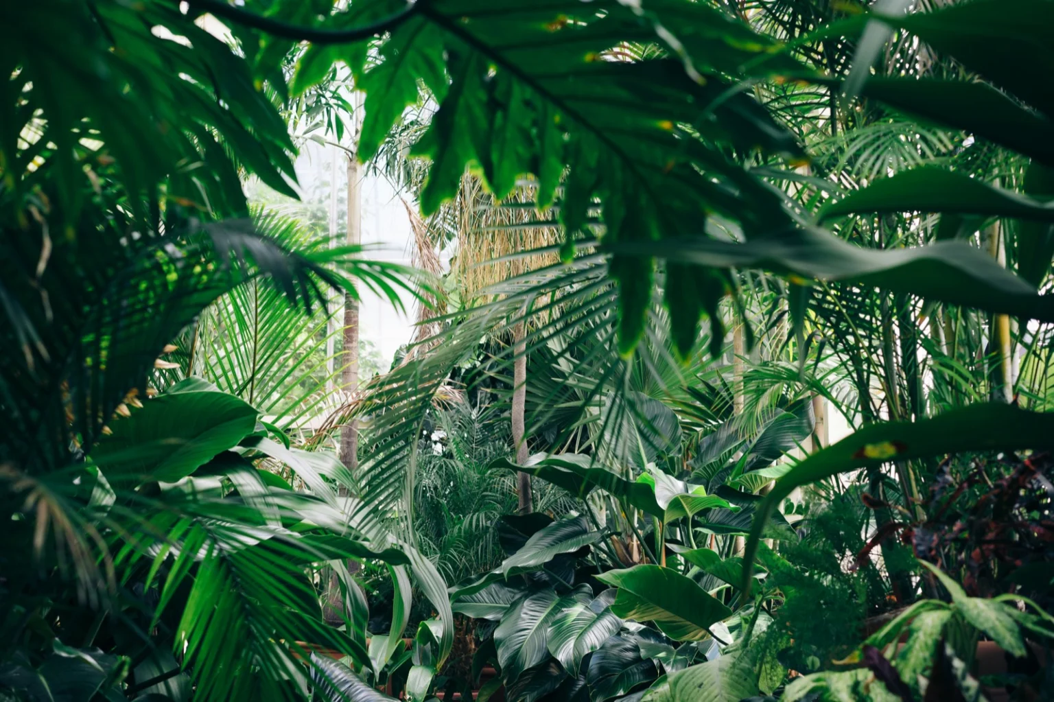 Botanischer Garten Cagliari