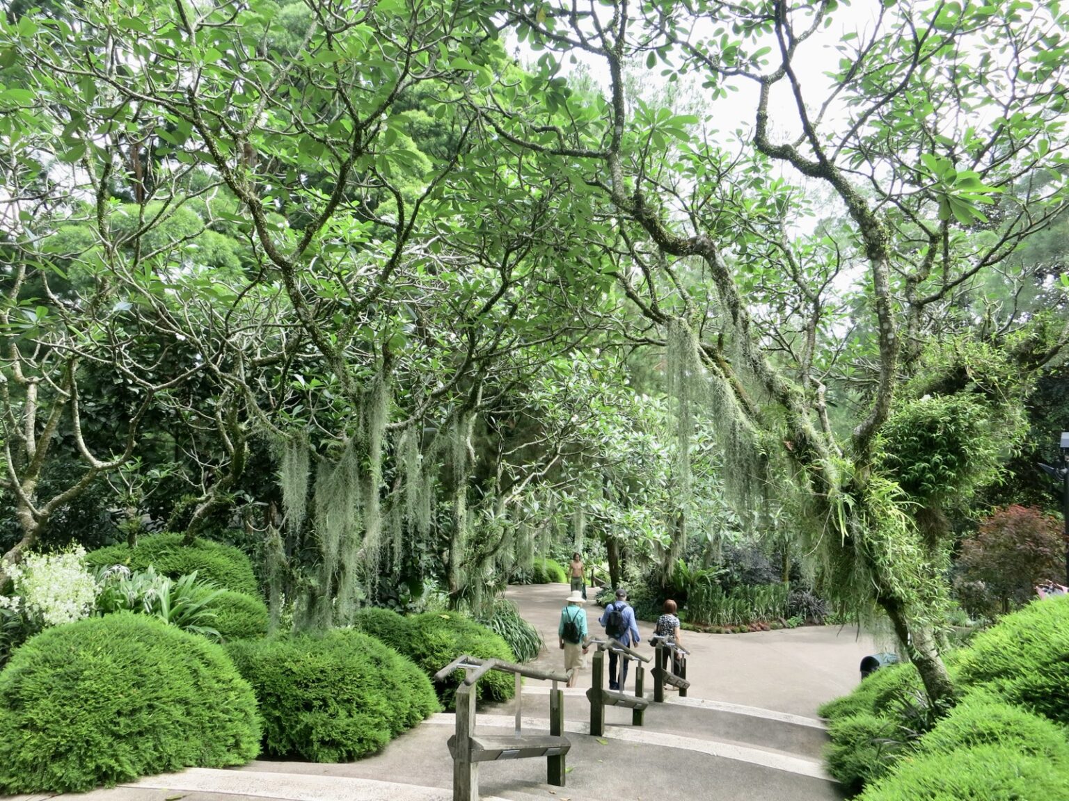 Botanischer Garten Singapur