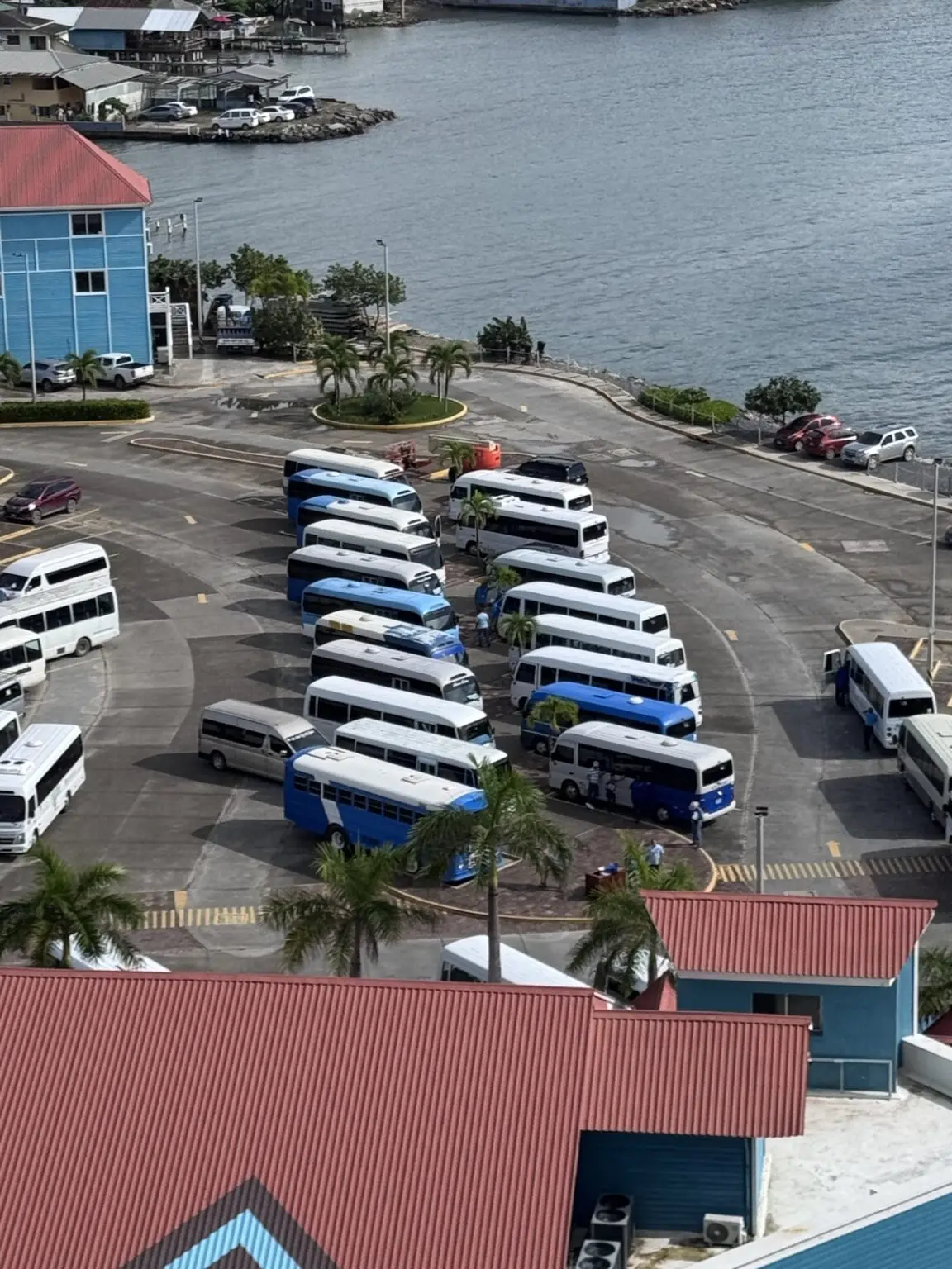 Busse am Kreuzfahrthafen Roatan