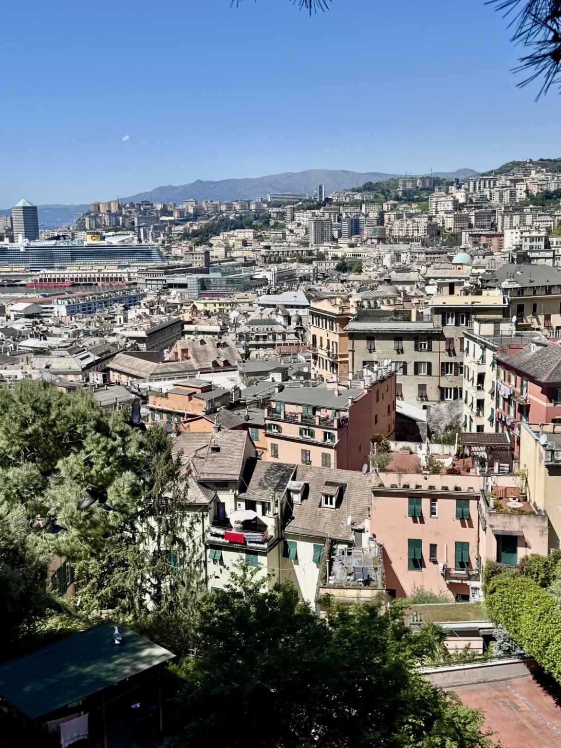 Aussicht Spianata Castelletto