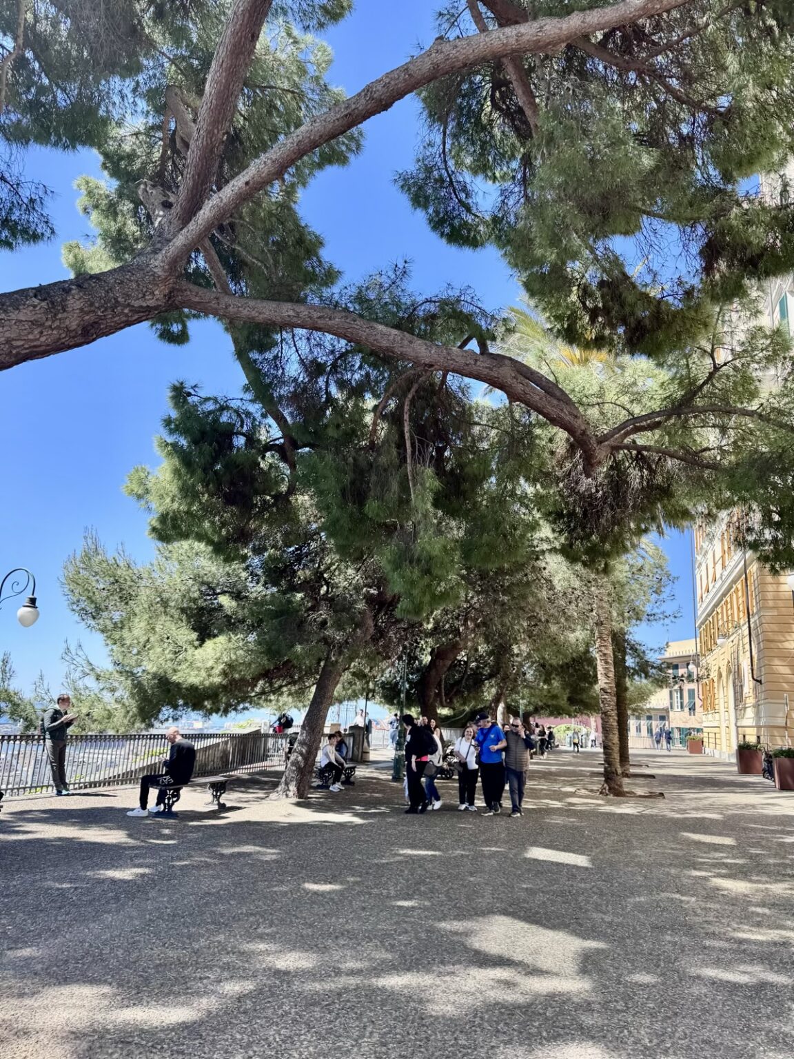 Belvedere Castelletto