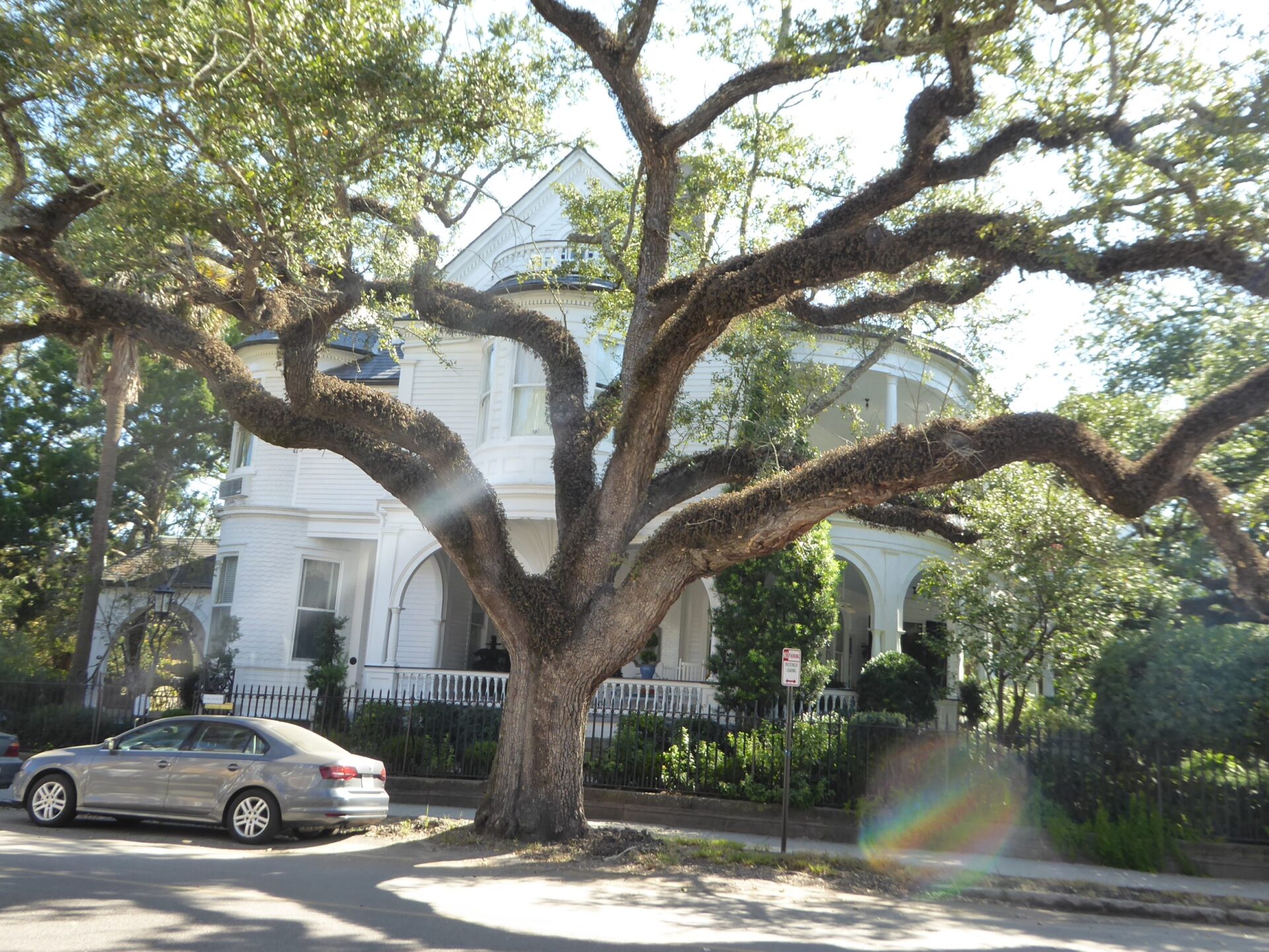 Villa mit großem Baum in Charleston