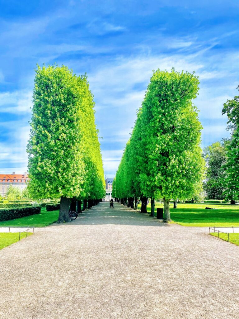 Baumallee im Schlosspark in Kopenhagen