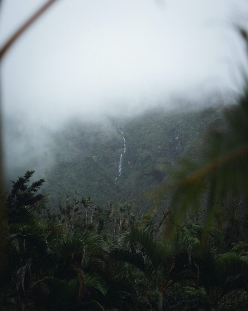 Nebel im Dschungel in Dominica Roseau