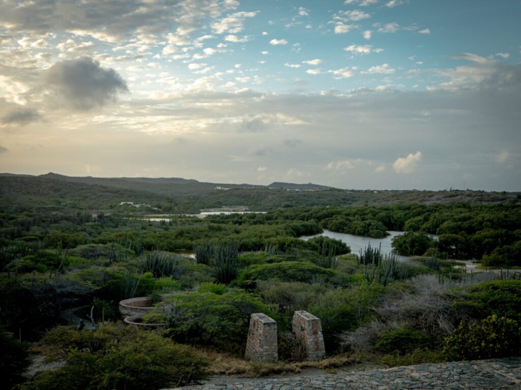 Grüne Landschaft im Nationalpark auf Aruba 