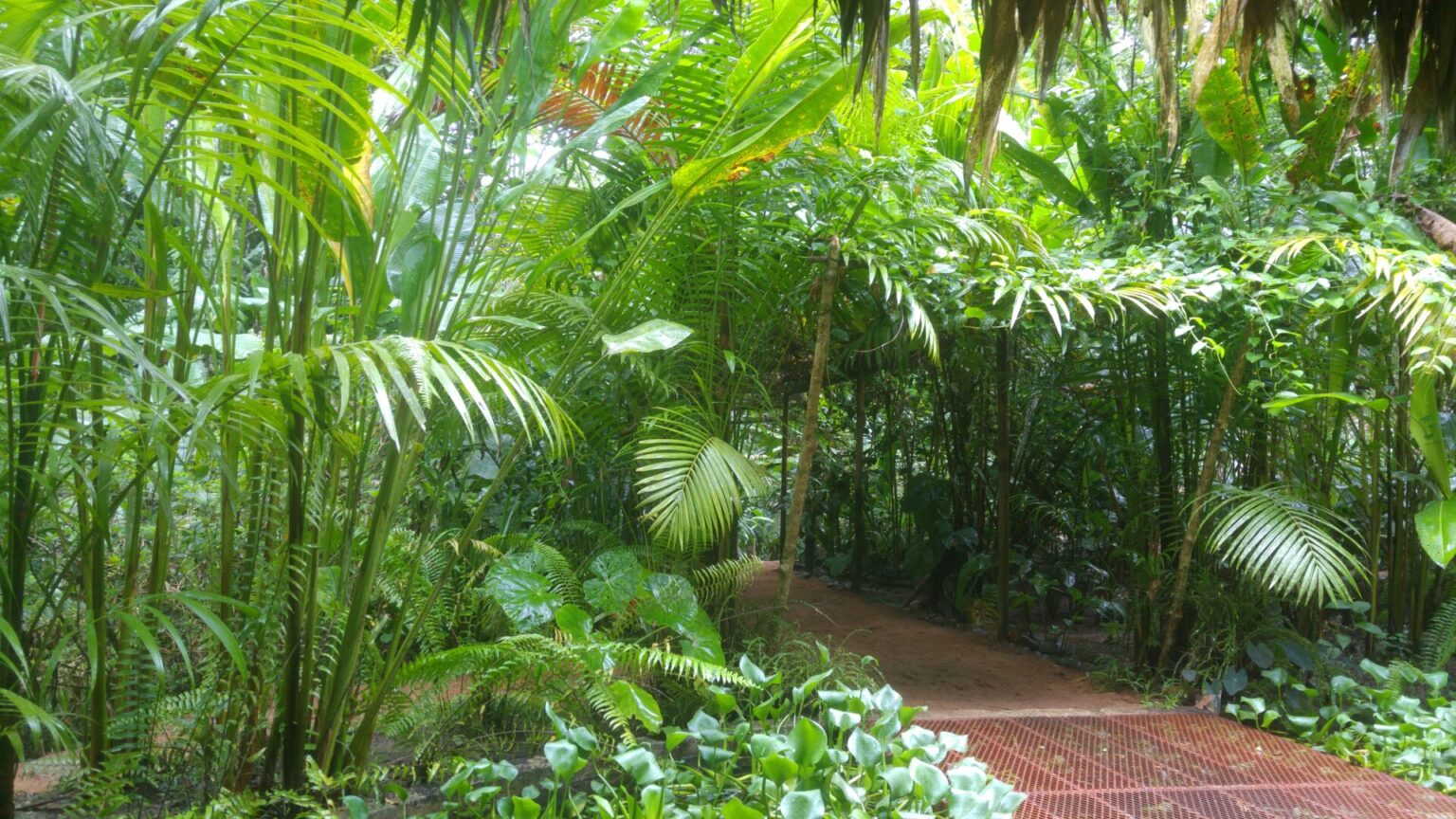 Botanischer Garten Roatan