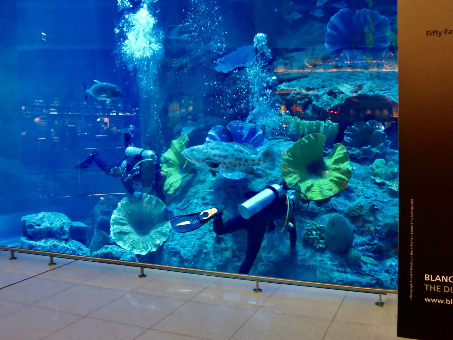 Dubai Aquarium