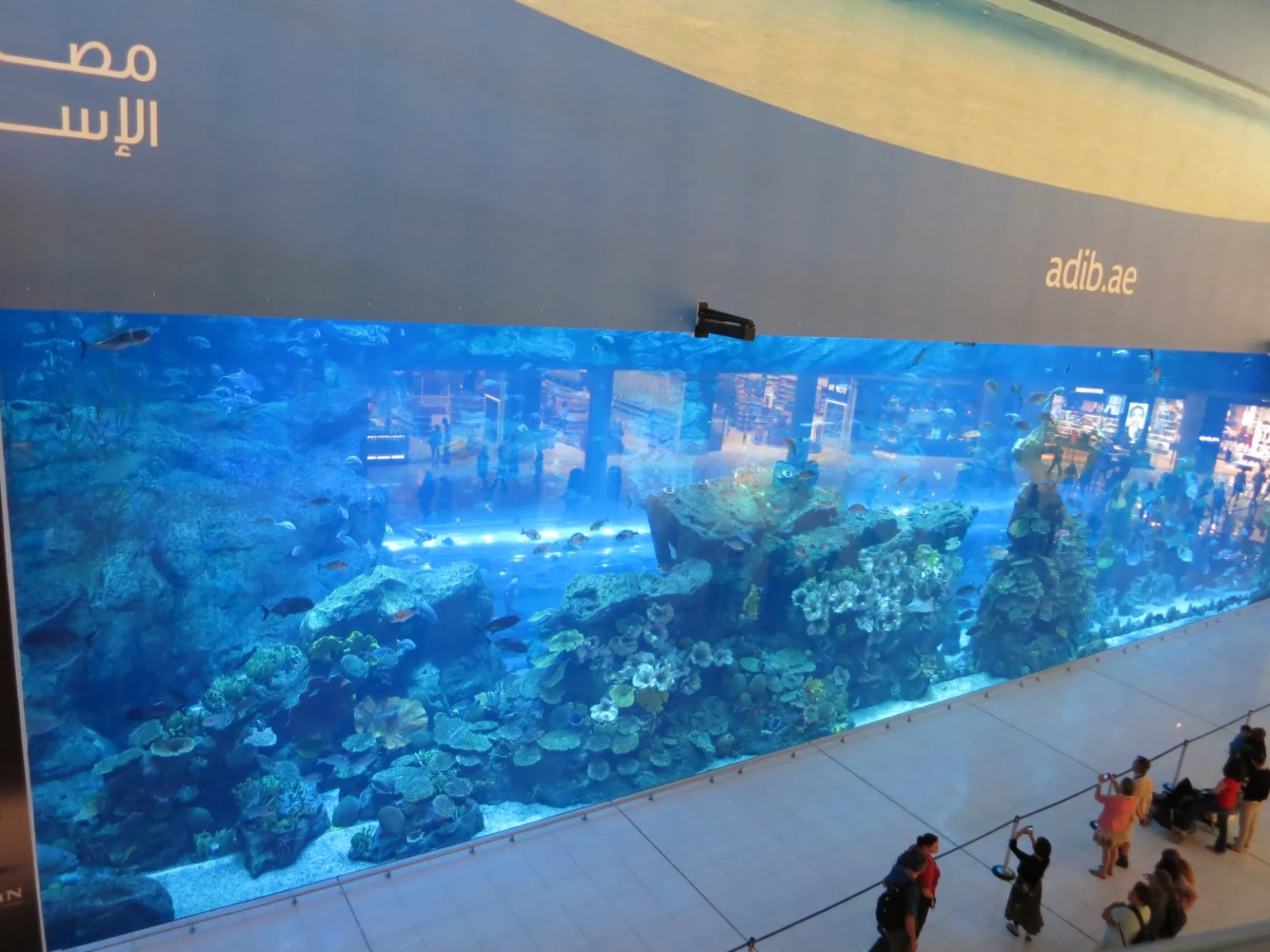 Dubai Aquarium