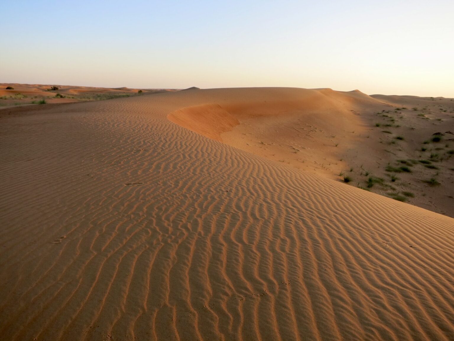 Wüstentour in Dubai