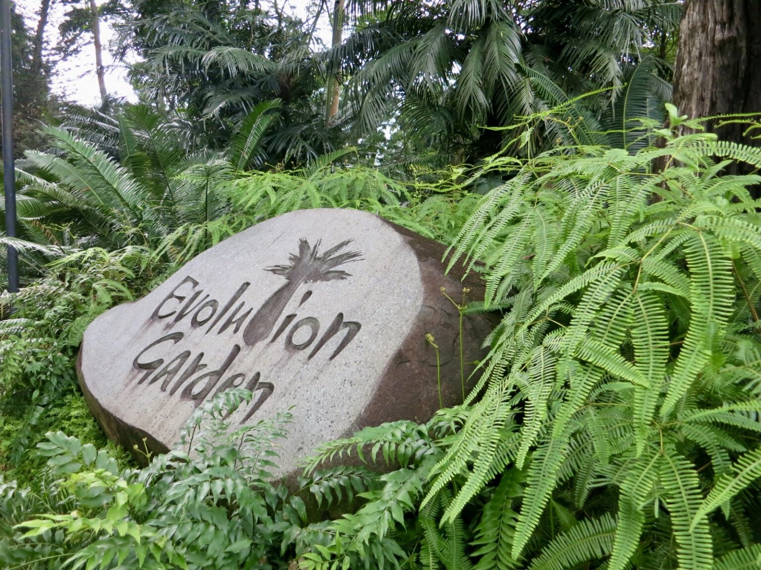 Evolution Garten Singapur