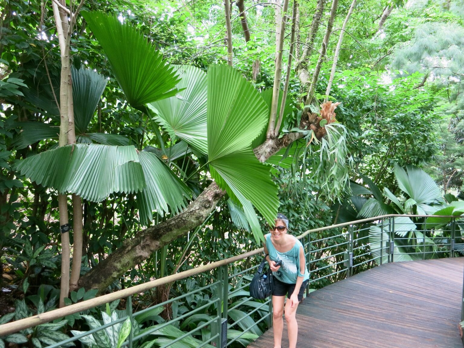 Botansicher Garten Singapur
