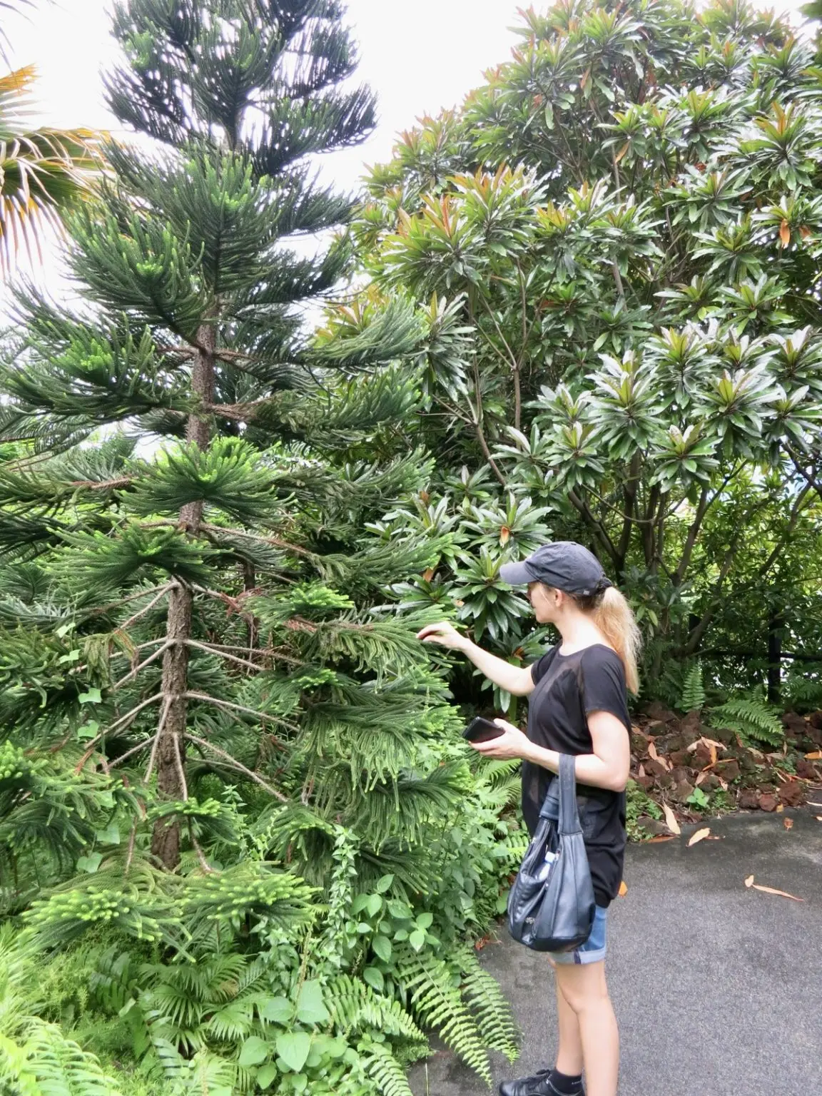 Frau in Botanischen Garten in Singapur