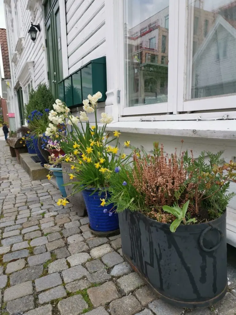 Gasse in Gamle Stavanger