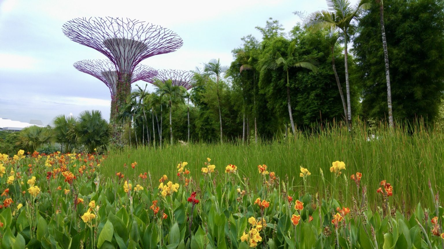  Gardens by the Bay
