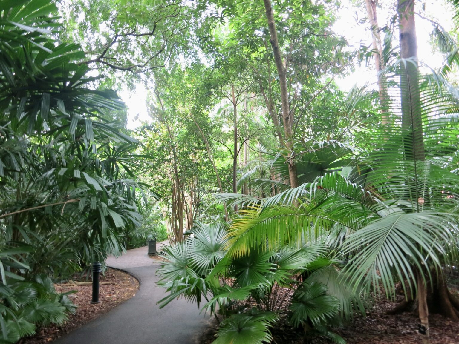 Botanischer Garten Singapur