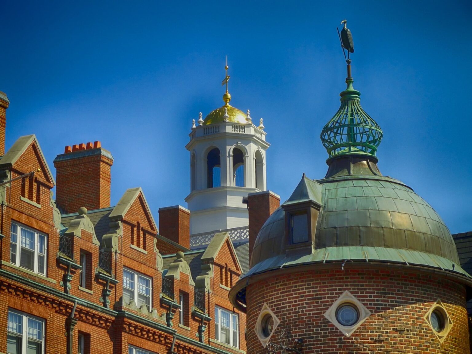 Harvard University Boston Massachusetts