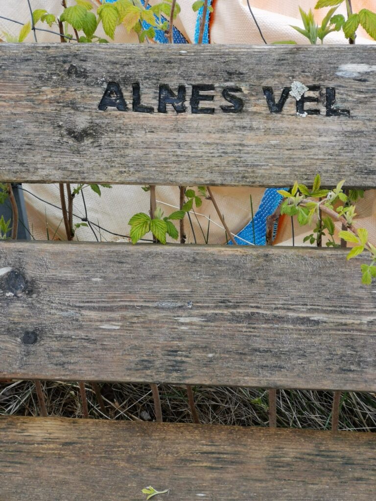 Holzbank mit Schriftzug Alnes