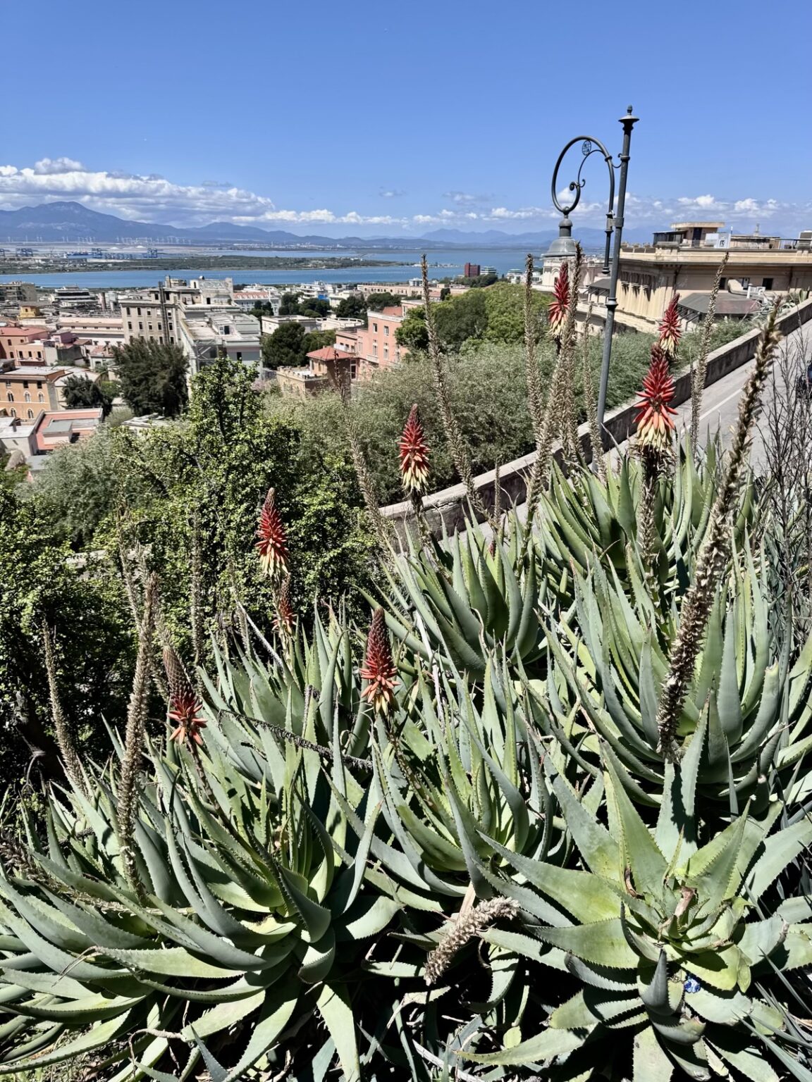 Piazza Aquilino Cannas