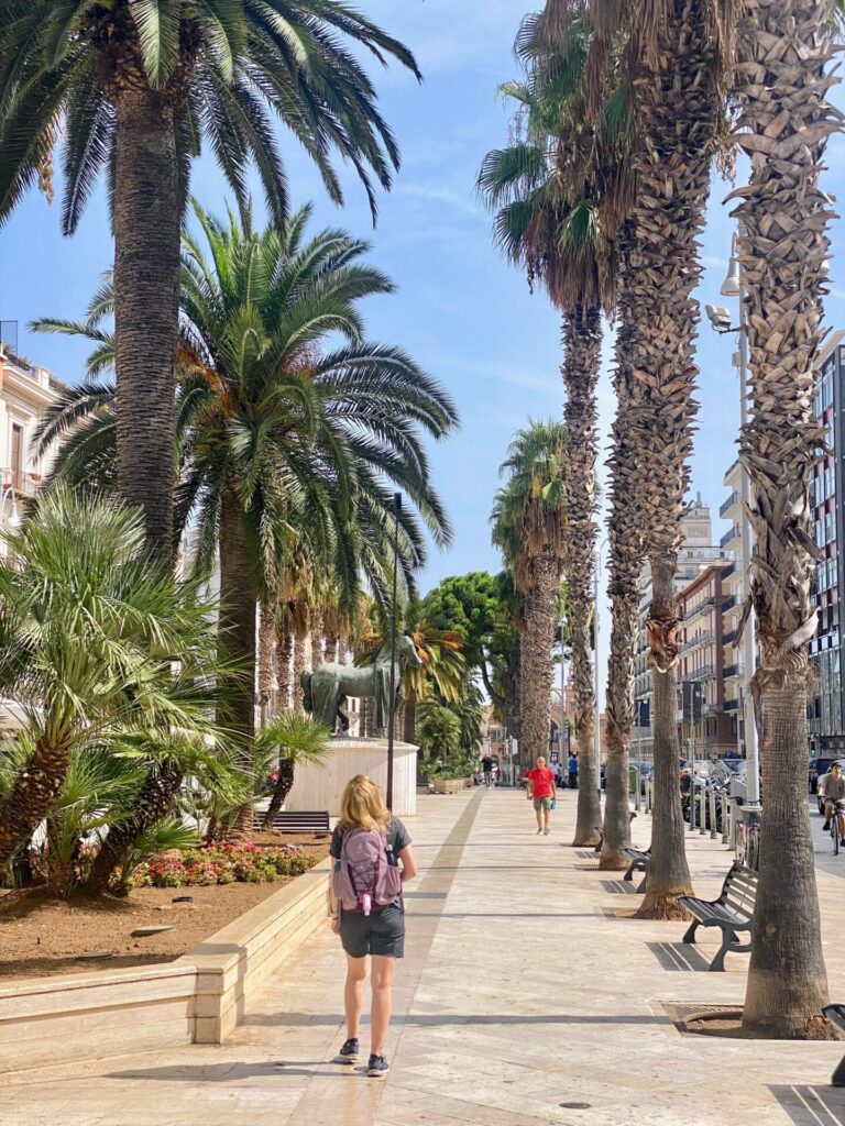 Palmenweg im Zentrum von Cadiz