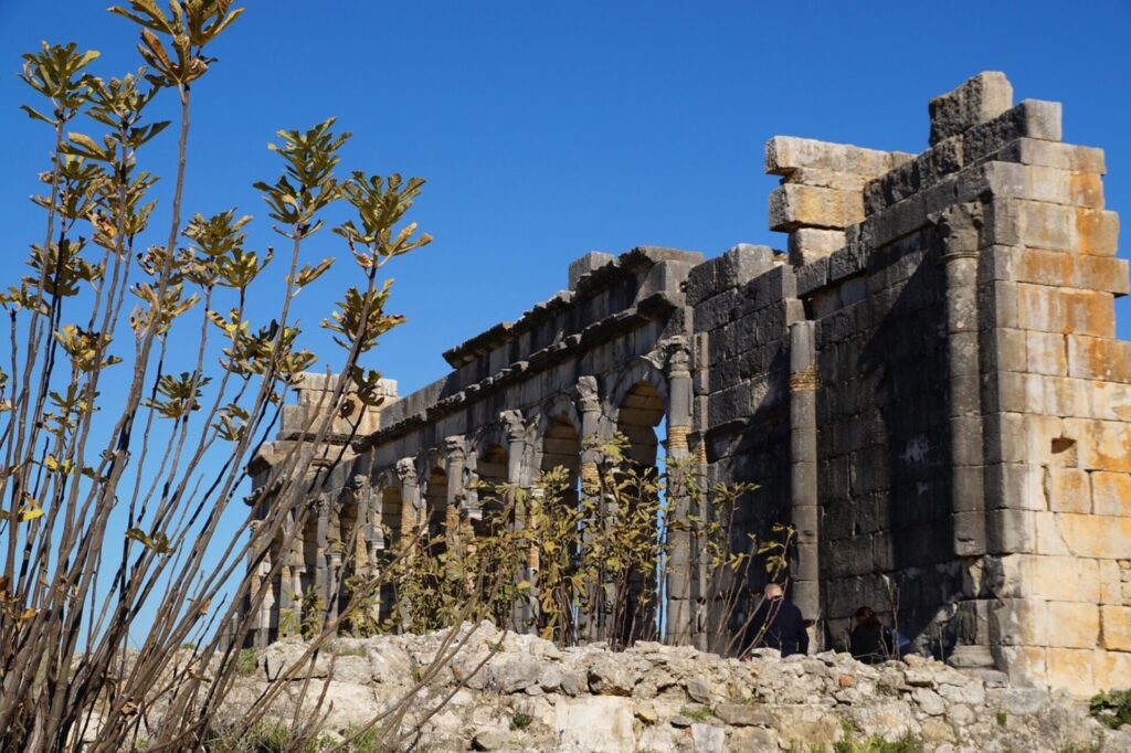 Historische Ruinie Volubilis