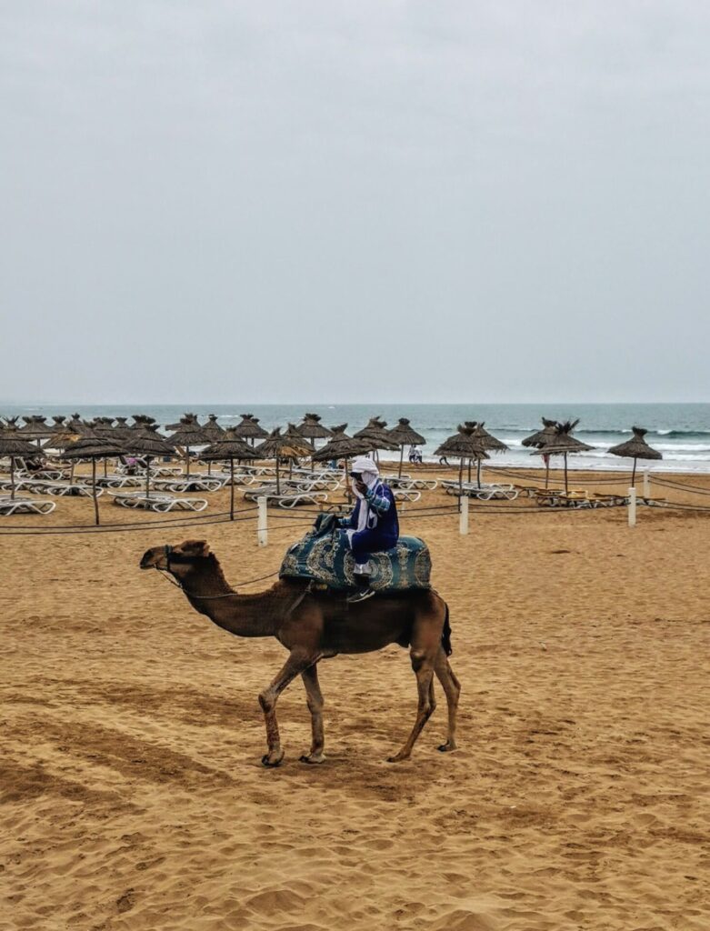 Agadir Stadt-Strand mit Kamel und Reiter