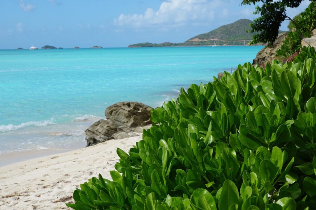 Strand mit türkisem Meer auf Antigua St. Johns