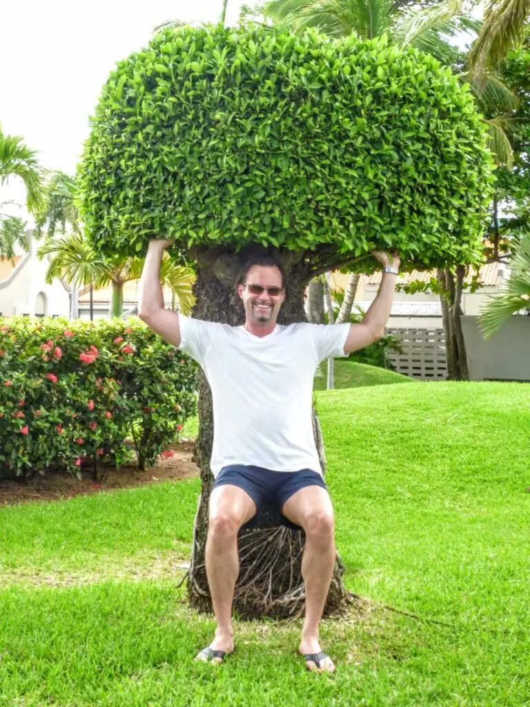 Mann unter einem Baum  in Oranjestad auf Aruba