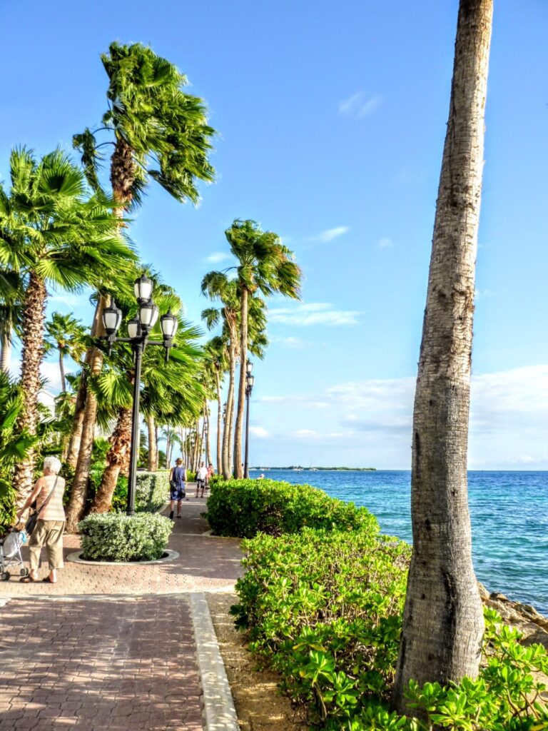 Promenade mit Palmen und Fußweg in Oranjestad 