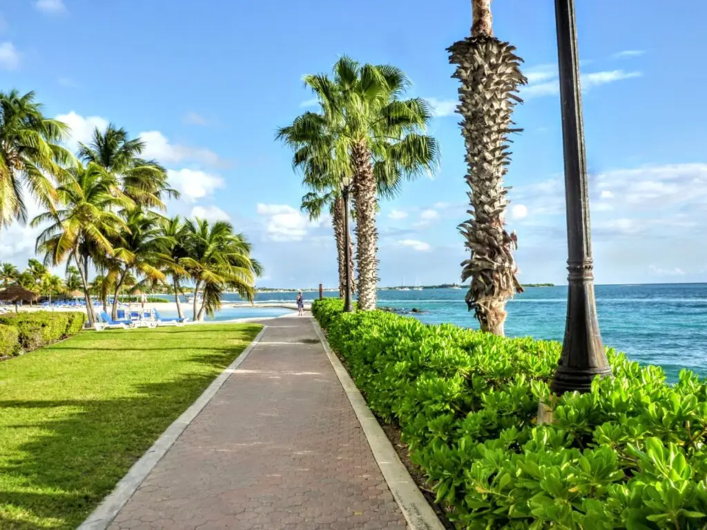 Promenade mit Palmen und Fußweg in Oranjestad