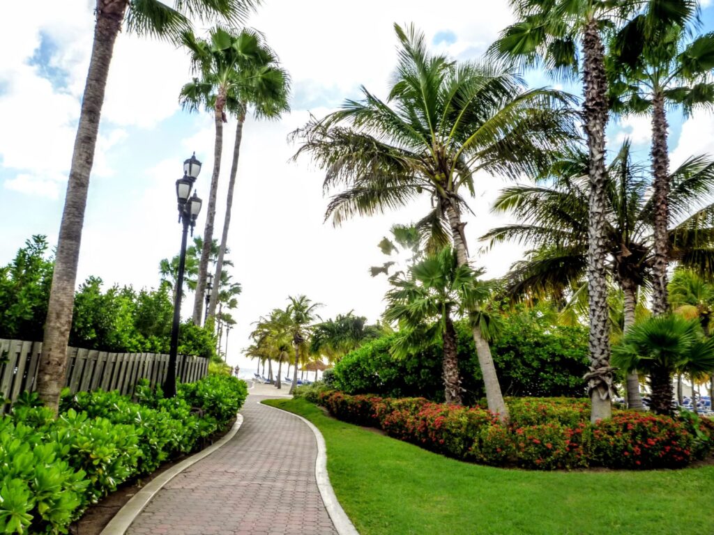 Promenade mit Palmen in  Oranjestadt auf Aruba