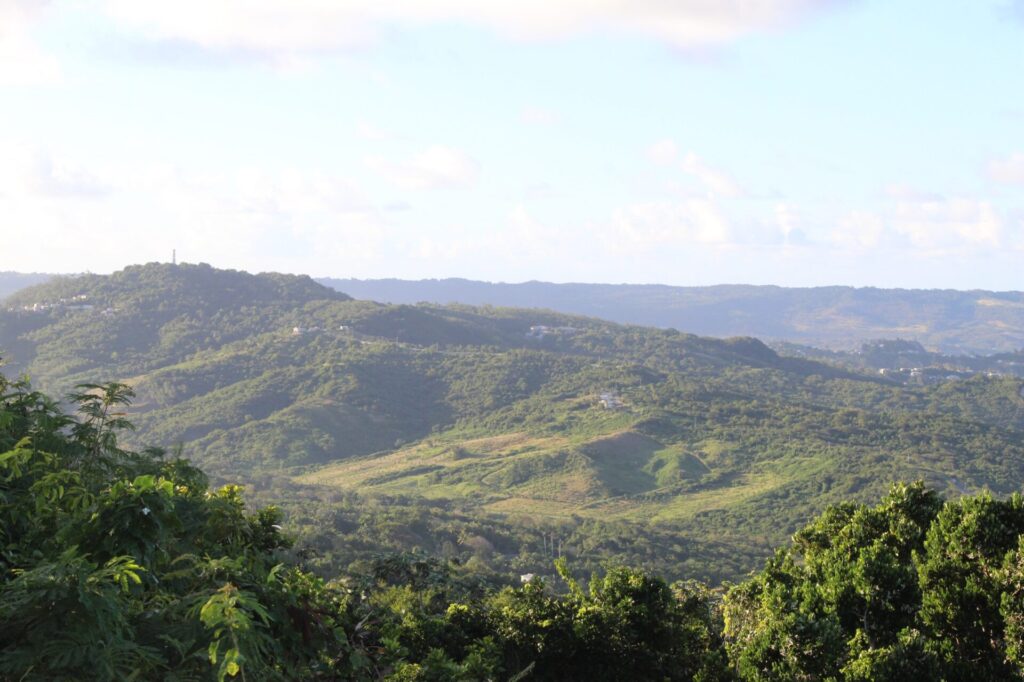 Blick auf Berglandschaft von Welchmann Hall Gully auf Barbados 