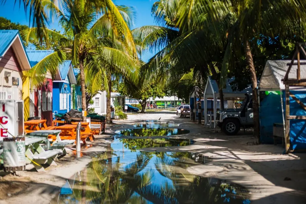 Bunte Holz-Shops und Palmen in Bridgetown auf Barbados 