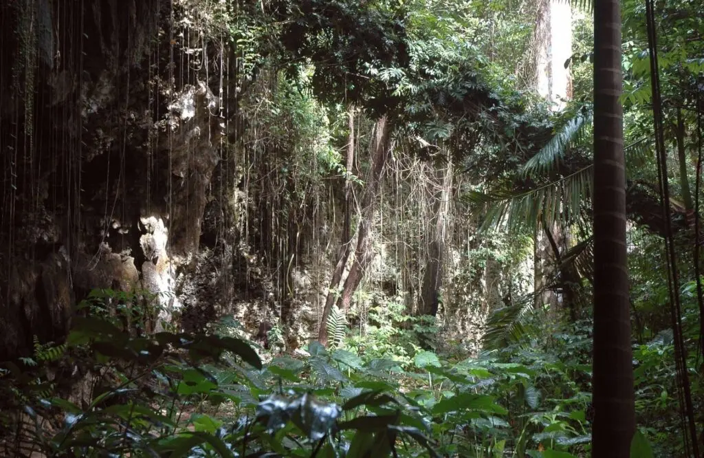 Wildlife Reserve auf Barbados 