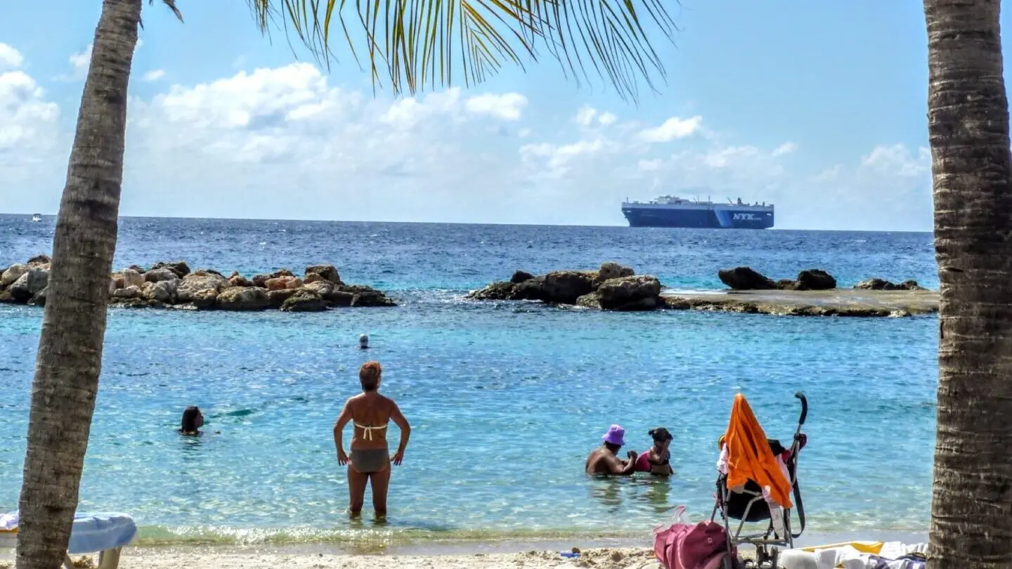 Badegäste unter Palmenblick