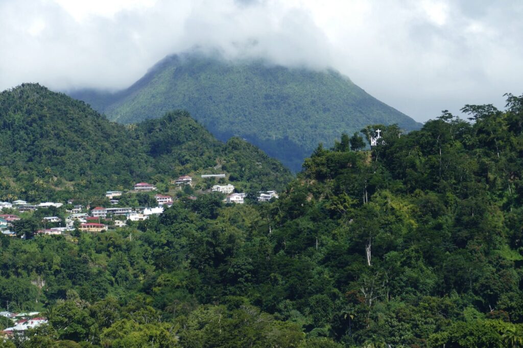Blick im den Dschungel in Dominica Roseau